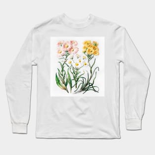 New Zealand snow groundsels (1848–1927) Long Sleeve T-Shirt